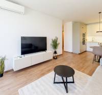Krásny, elegantný 2i byt 52m2, lodžia, A/C, parking, BORY NA HRÁDZI - Obývačka so stolom, televízorom a rozkladacou sedačkou v 2-izbovom byte.