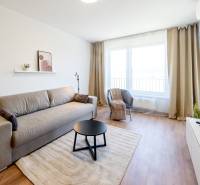 Krásny, elegantný 2i byt 52m2, lodžia, A/C, parking, BORY NA HRÁDZI - Obývacia izba v 2-izbovom byte s pohovkou, kreslom, stolíkom a televízorom.