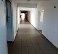 Administratívno-skladová budova Bratislava - Trnávka - Úzky, dlhý interiérový koridor vo výrobných priestoroch s dverami pozdĺž chodby.