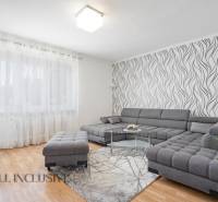 NA PREDAJ ZREKONŠ. 2-IZBOVÝ BYT S BALKÓNOM, GABČÍKOVO - Obývačka 2-izbového bytu s pohodlnou sivou sedačkou, vzorovanou tapetou a drevenou podlahou.