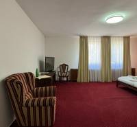 NA PREDAJ hotel s reštauráciou - Izba s červeným kobercom, dvojposteľou, kreslom a televíziou. Hotely a penzióny.
