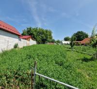 NA PREDAJ RODINNÝ DOM V OBCI ŠTEFANOV, OKRES SENICA - Záhrada s trávnikom a stromami v Štefanove, vedľa rodinného domu, modrá obloha.