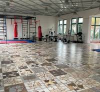 Administratívna budova  - Priestranné kancelárie s boxovacími vrecia a fitnes vybavením, dlažba z rôznych druhov mramoru.