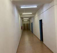 Výrobno - skladové priestory Dubnica nad Váhom - Úzky interiérový koridor so svetlami, drevená podlaha a svetlé steny v skladoch a halách.