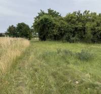 Vám ponúka  NA PREDAJ stavebný pozemok v Povode - Pozemky - bývanie v Povode s prírodným prostredím, stromy a tráva na mieste.