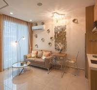 1 IZBOVÝ APARTMÁN A (1 SPÁLŇA + 1 OBÝV. IZBA) CITY GARDEN OLYMPUS  - Svetlý 2-izbový byt s otvorenou obývačkou a zrkadlovou stenou.