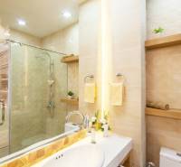1 IZBOVÝ APARTMÁN A (1 SPÁLŇA + 1 OBÝV. IZBA) CITY GARDEN OLYMPUS  - Elegantná kúpeľňa v 2-izbovom byte so sprchovacím kútom a dekoratívnym osvetlením.
