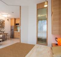 1 IZBOVÝ APARTMÁN A (1 SPÁLŇA + 1 OBÝV. IZBA) CITY GARDEN OLYMPUS  - Interiér 2-izbového bytu s pohľadom na obývaciu časť a kuchyňu.