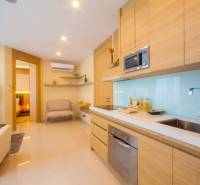 2 IZBOVÝ APARTMÁN A (2 SPÁLNE + 1 OBÝV. IZBA) CITY GARDEN OLYMPUS  - Kuchyňa v 3-izbovom byte s drevenými skrinkami, televíziou a výhľadom na obývačku.