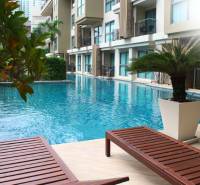 CITY GARDEN TROPICANA PATTAYA - Bazén pri výstavbe bytov v Pattayi obklopený zeleňou a ležadlami.