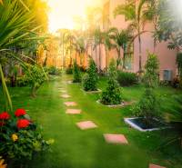 CITY GARDEN TROPICANA PATTAYA - Pohľad na záhradu pri výstavbe bytov v Pattaye s okrasnými rastlinami.