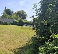 Predaj, pozemok pre rodinný dom   308 m2 Smolenice -... - Pozemok na bývanie v Smoleniciach, s udržiavanou trávou a oplotením, lemovaný zeleňou.