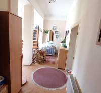 Na predaj rodinný dom v Hrkovciach okres Levice - Chodba v rodinnom dome s nábytkom, kobercami a rastlinami.