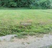 Predaj, pozemok pre rodinný dom   1210 m2 Modrová - Pozemky - bývanie v Modrovej zahŕňajú trávnatú plochu pri lese s cestou.