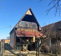 PREDAJ, PODLUŽANY - VINIČNÝ DOMČEK S VINOHRADOM - Chatka so šikmou strechou a verandou, obklopená záhradnými rekreačnými pozemkami.