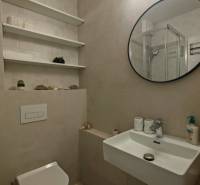 TOP ! na prenájom 1,5i luxusný, klimatizovaný apartmán Košice - Krivá  - Kúpeľňa v 1-izbovom byte s okrúhlym zrkadlom, umývadlom a toaletou.