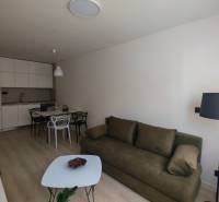TOP ! na prenájom 1,5i luxusný, klimatizovaný apartmán Košice - Krivá  - Obývačka v 1-izbovom byte s kuchynským kútom, stolom, pohovkou a stojacou lampou.