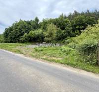 Predaj, pozemok pre rodinný dom   2220 m2 Selce - EX... - Cesta lemujúca les v Selciach, Pozemky - bývanie.