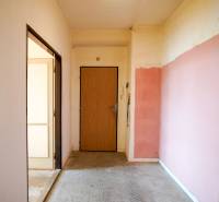 NOVINKA - 2 izbový tehlový byt - Nová Dubnica - 60m²  - Vstupná chodba v 2-izbovom byte s ružovou stenou a hnedými dverami.