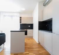 Skvelý slnečný 3i byt s balkónom v projekte METROPOLIS - Kuchyňa v 3-izbovom byte so sivým nábytkom, drevenou podlahou a jedálenským stolom.