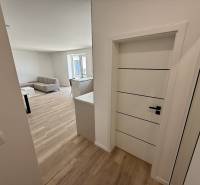 Moderný 2-izbový byt s terasou a parkovaním v Piešťanoch - Vstupná hala vedúca do obývacej izby v 2-izbovom byte s drevenou podlahou.