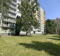 Priestranný 2-izbový byt na Vlčincoch s výbornou dostupnosťou - Sídlisko so zeleňou a budovami, vhodné na bývanie v 2-izbovom byte v Žiline.