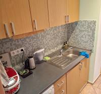 Predaj 1 izbový byt, Karpatská ulica, Bratislava I. Staré Mesto - Kuchyňa s drevenými skrinkami, mozaikovým obkladom a drezom v 1-izbovom byte.