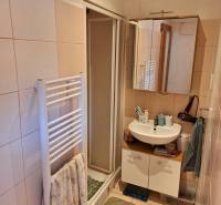 Predaj 1 izbový byt, Karpatská ulica, Bratislava I. Staré Mesto - Kúpeľňa v 1-izbovom byte s umývadlom, sprchovým kútom a radiátorom na uteráky.