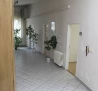 Kancelária 20 m2, Wolkrova ul., Petržalka - Kancelárie s bielymi stenami, kvetinami a dverami na prenájom.