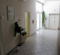 Kancelária 20 m2, Wolkrova ul., Petržalka - Interiér Kancelárie s dlažbou, izbovými rastlinami a veľkými oknami.