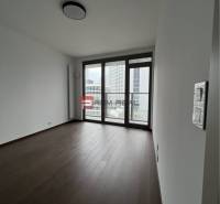 EUROVEA TOWER, Exkluzívne luxusné adm. priestory, Bratislava - Priestranná izba s drevenou podlahou a veľkými oknami v obchodných priestoroch.