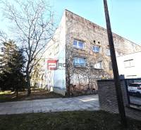 EXKLUZÍVNA INVESTÍCIA: MULTIFUNKČNÁ BUDOVA NA PREDAJ, TRNAVA - Budova na ulici Ľ. Podjavorinskej pokrytá popínavými rastlinami, vedľa stojí strom.