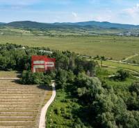 PREDAJ 3i byt, 65 m2, Prémiová novost. Zelené Nivy, Pezinok - Letecký pohľad na vinice pri Limbašskej ceste v Pezinku, ideálne miesto pre 3-izbový byt.