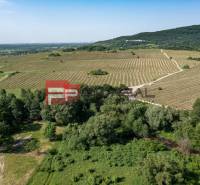 PREDAJ 3i byt, 65 m2, Prémiová novost. Zelené Nivy, Pezinok - Rozľahlé vinice, zelené polia, stromy pri Limbašskej ceste, ideálne pre 2-izbový byt.