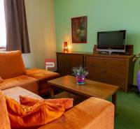 PREDAJ B&B Hotel v Starom meste - škola, centrum medicíny - Obývačka v Hotely a penzióny, so sedačkou, televízorom, obrazom a dekoráciami.