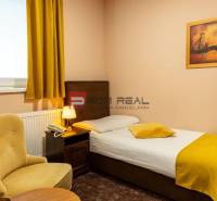 PREDAJ B&B Hotel v Starom meste - škola, centrum medicíny - Jednolôžková izba s kreslom a obrazom v Hoteloch a penziónoch.