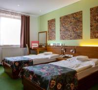 PREDAJ B&B Hotel v Starom meste - škola, centrum medicíny - Hotelová izba s dvomi posteľami, obrazmi leva a dreveným nábytkom.