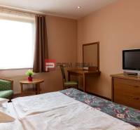 PREDAJ B&B Hotel v Starom meste - škola, centrum medicíny - Hotelová izba s televíziou, písacím stolom, kreslom a rastlinou na stole.