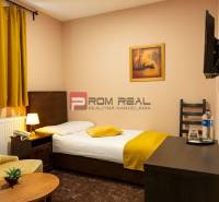 PREDAJ B&B Hotel v Starom meste - škola, centrum medicíny - Útulná izba s posteľou, kreslom a televízorom, ideálna pre Hotely a penzióny.