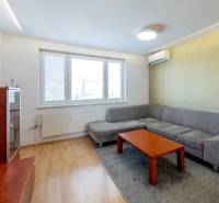 Príjemný, svetlý 3i byt 74 m2, klimatizácia, s lodžiou, dobrá lokalita - Obývacia izba v 3-izbovom byte, sivá sedačka, drevený stolík, farebná tapeta.