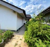 Moderný 4i rodinný bungalov 687m2 | Legionárska | Trenčín - Rodinný dom na Legionárskej v Trenčíne s ihličnatými stromami a chodníkom.