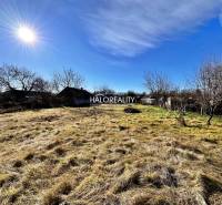 Predaj, pozemok pre rodinný dom   1136 m2 Veľké Ludi... - Pozemky - bývanie vo Veľkých Ludinciach s trávnatou plochou, stromami a jasnou oblohou.