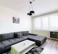 EXKLUZÍVNE: TERASA, ul. ONDAVSKÁ, 3.ízb. byt, 68m2+loggia. Kúpou voľný - Obývacia izba v 3-izbovom byte s pohodlnou sedačkou a minimalistickým stolíkom.
