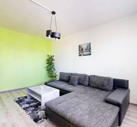 EXKLUZÍVNE: TERASA, ul. ONDAVSKÁ, 3.ízb. byt, 68m2+loggia. Kúpou voľný - Obývacia izba s pohovkou a stolom v 3-izbovom byte, zelená stena, rastlina.