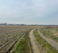 Zálesie orná pôda na predaj 3237m2 /21,- Eur / m2 - Poľnohospodárske a lesné pozemky v Zálesí na ulici Domky s poľnou cestou.