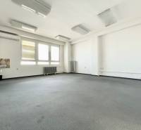 Kancelárie na prenájom 40m2, budova Fischer TireTech, TN - Priestranné kancelárie s umývadlom, veľkými oknami a radiátorom.
