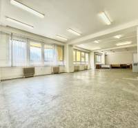 Kancelárie na prenájom 40m2, budova Fischer TireTech, TN - Priestranné kancelárie s veľkými oknami a linoleum podlahou.