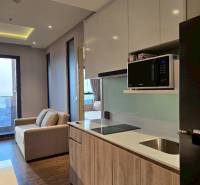 2 SPÁLŇOVÝ APARTMÁN ONCE PATTAYA - Kuchyňa v 3-izbovom byte s pohovkou, varnou doskou a mikrovlnkou.