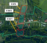 Ladomirov – 1.771 m2 INVESTIČNÉ pozemky – NA PREDAJ - Mapa katastrálneho územia Ladomirova zobrazujúca poľnohospodárske a lesné pozemky s parcelami E 875, E 54/2, E 54/1.
