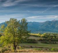 Sučany – 5.375 m2 ORNÁ PÔDA - PREDAJ - Krajina Poľnohospodárskych a lesných pozemkov pri Sučanoch s panorámou hôr a stromom v popredí.